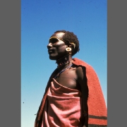 scan-110223-002917_0
