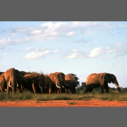 scan-110223-003018