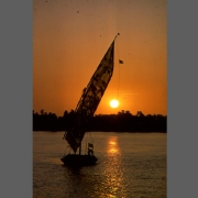scan-110223-003826_0